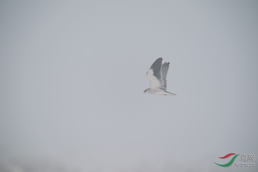 DSC00797.jpg