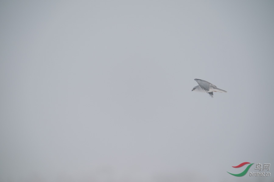 DSC00791.jpg