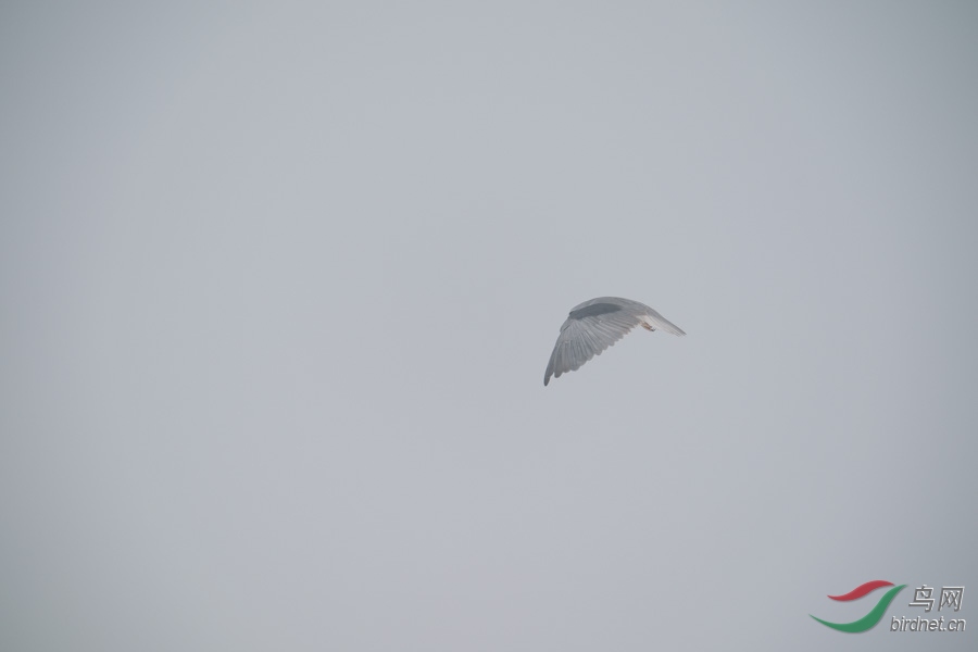 DSC00786.jpg