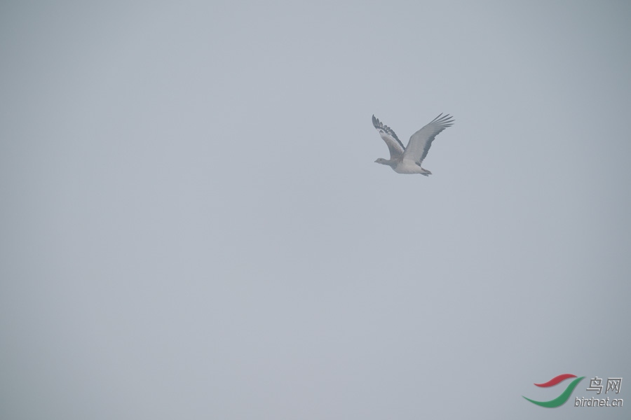 DSC00751.jpg