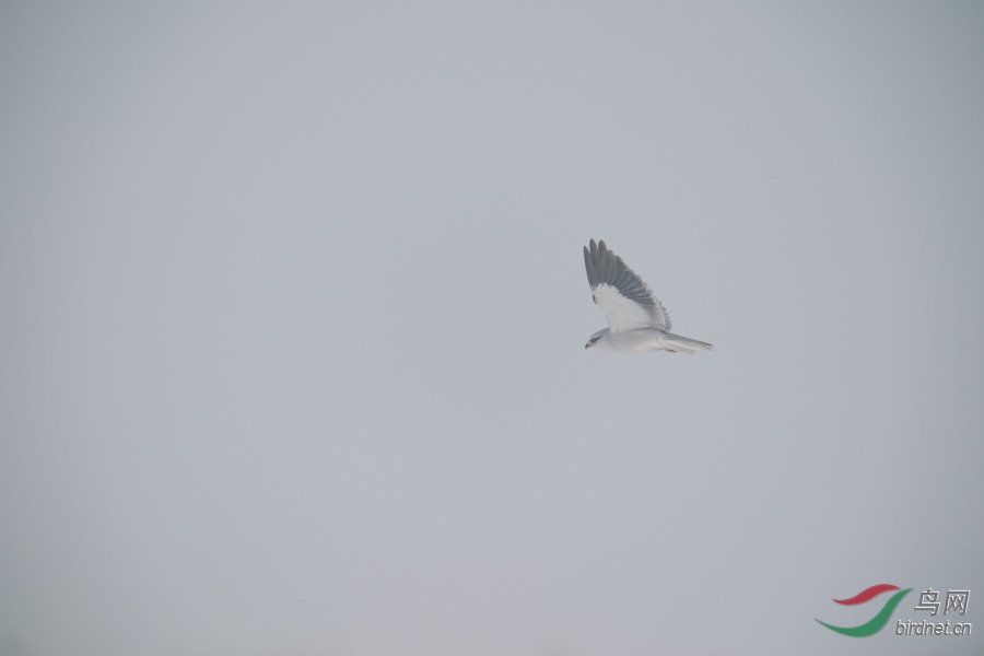 DSC00788.jpg