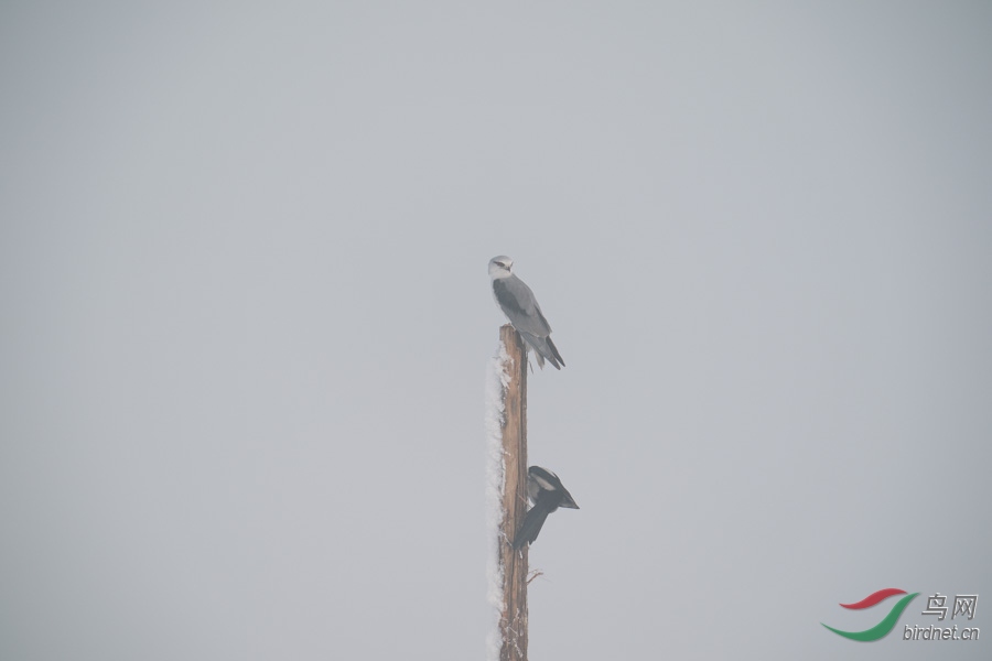 DSC00773.jpg