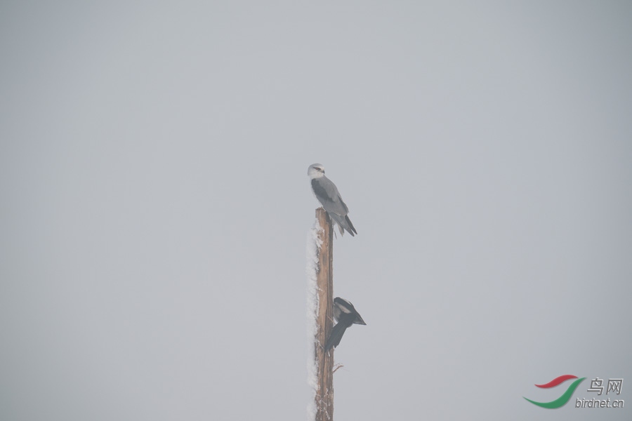 DSC00772.jpg