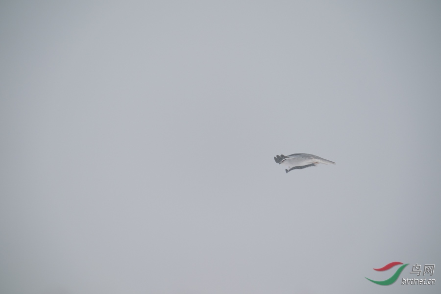 DSC00789.jpg