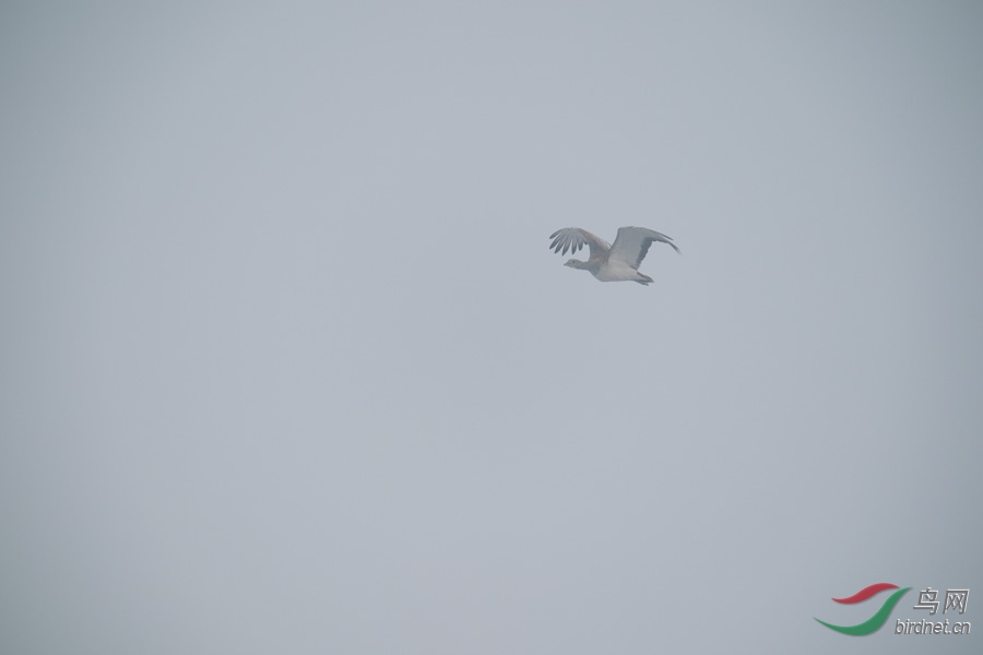 DSC00750.jpg