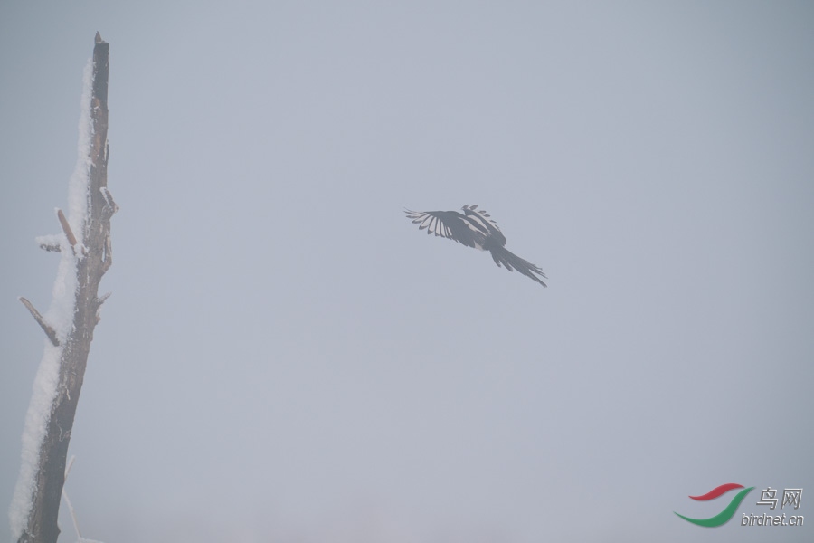 DSC00736.jpg