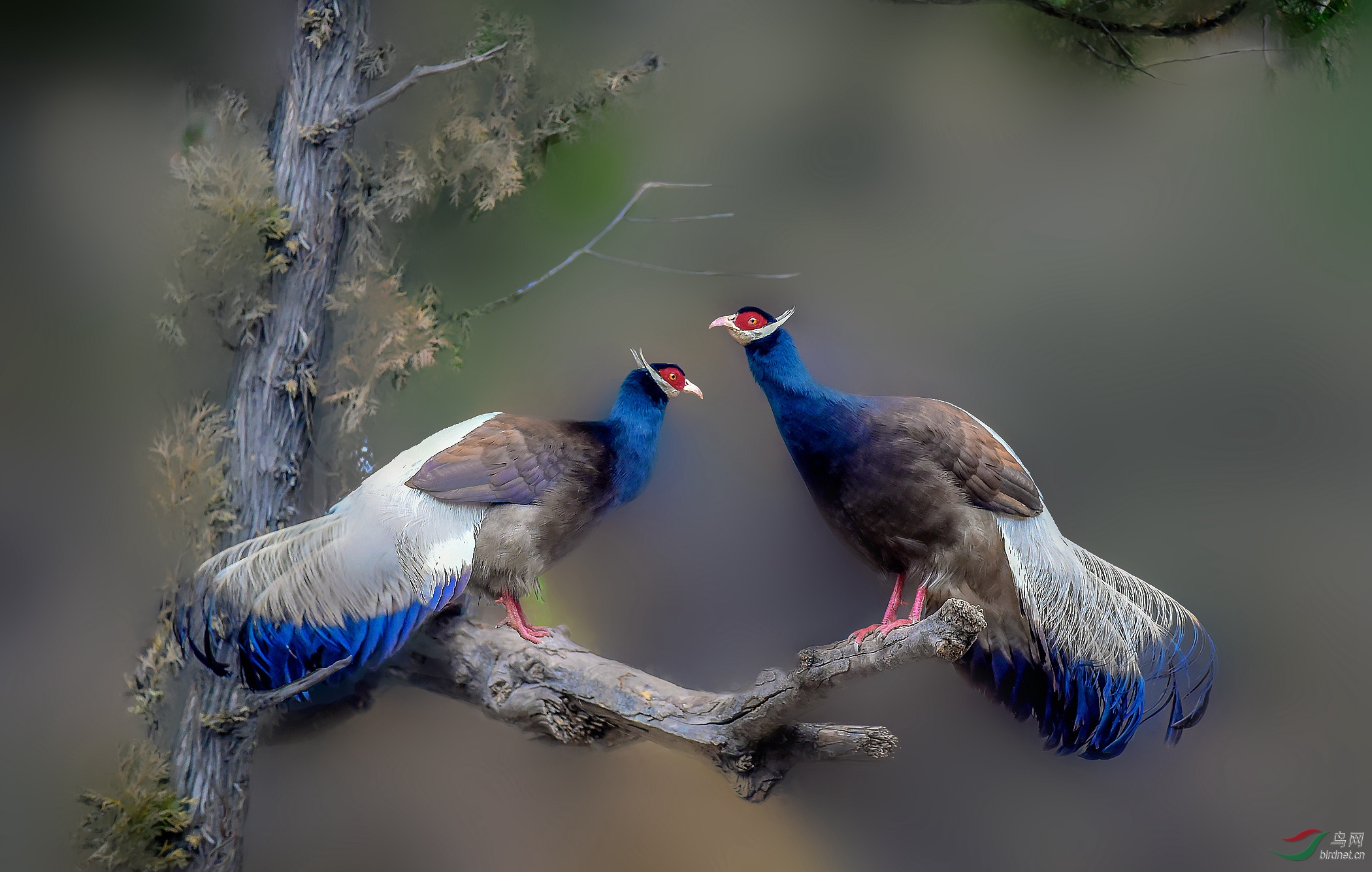 DSC_3990_����_����_���� (2)_����.jpg