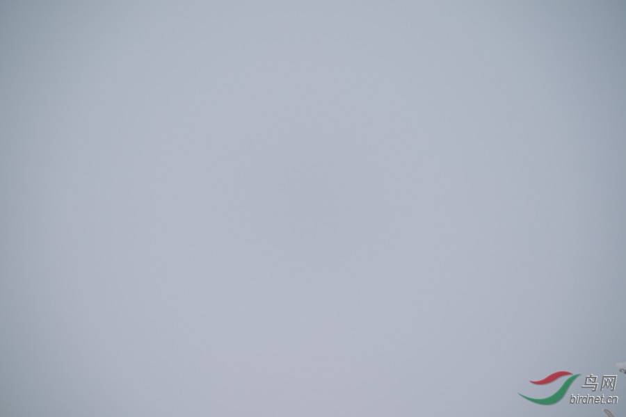 DSC00745.jpg