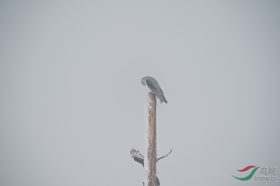 DSC00770.jpg