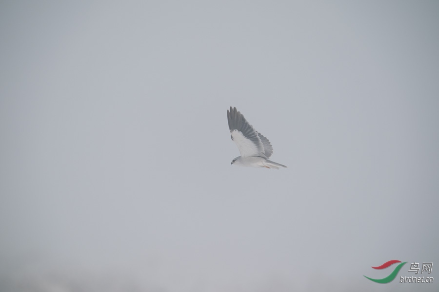DSC00798.jpg