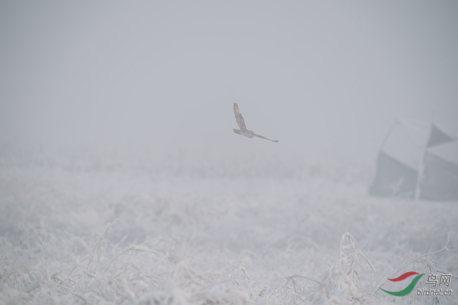 DSC00765.jpg
