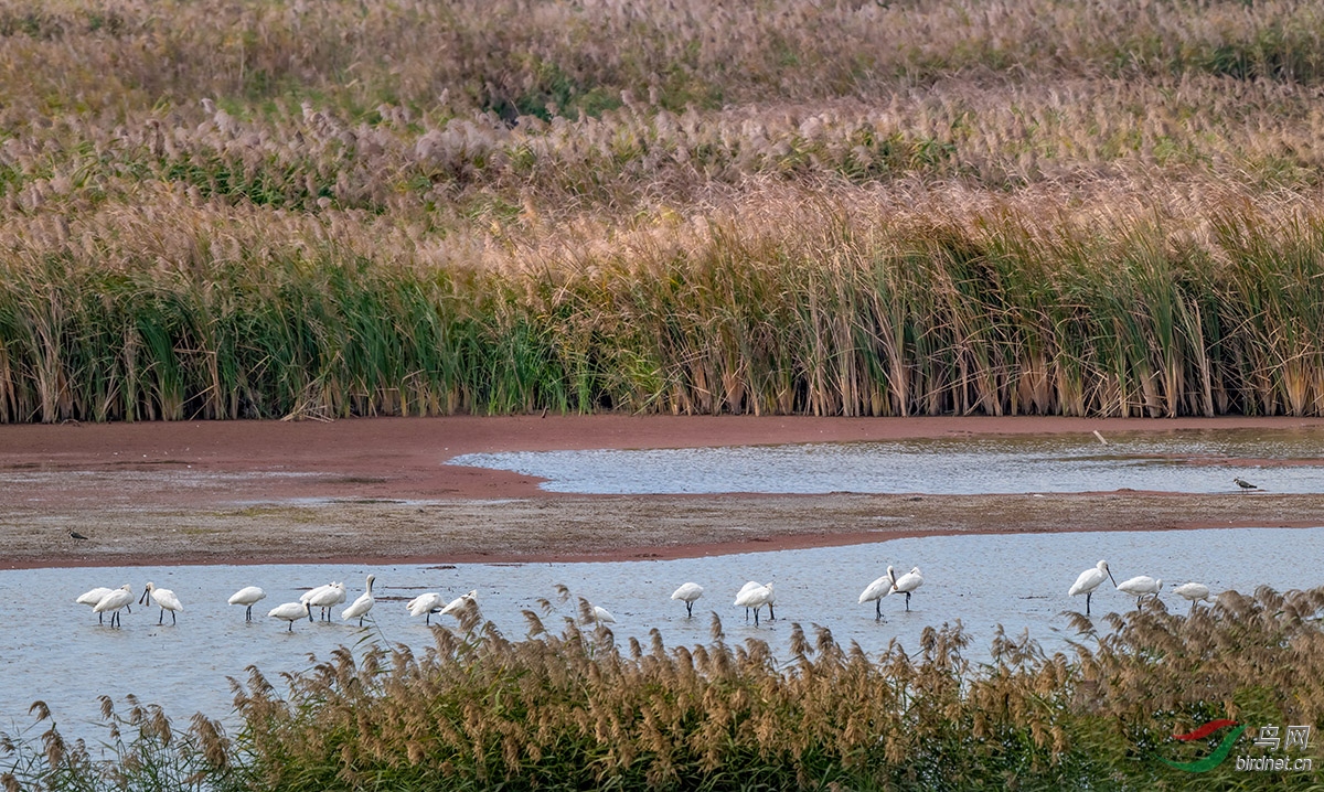 DSC09814-3.jpg