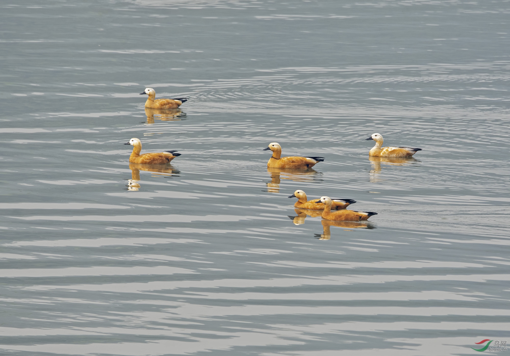 DSC_5361.jpg