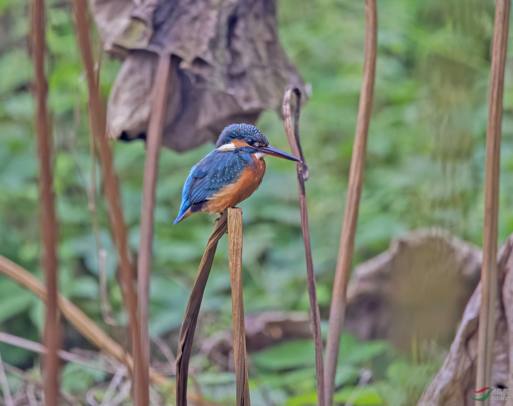 DSC_9975.jpg