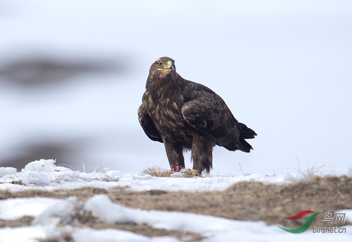 Photo taken on 2015-11-15 06-48-50 (3).jpg