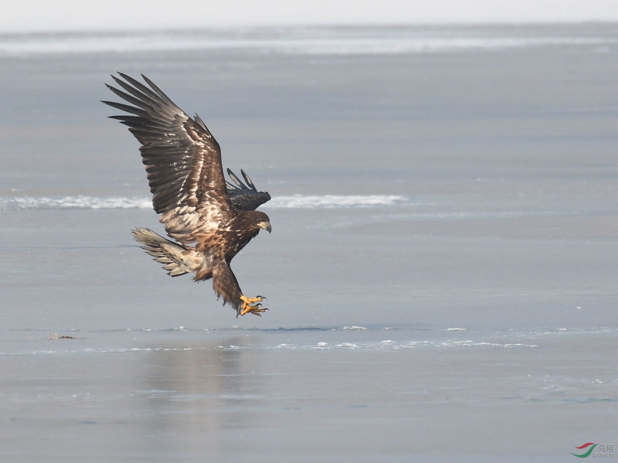 ������Ӱ 359����.jpg