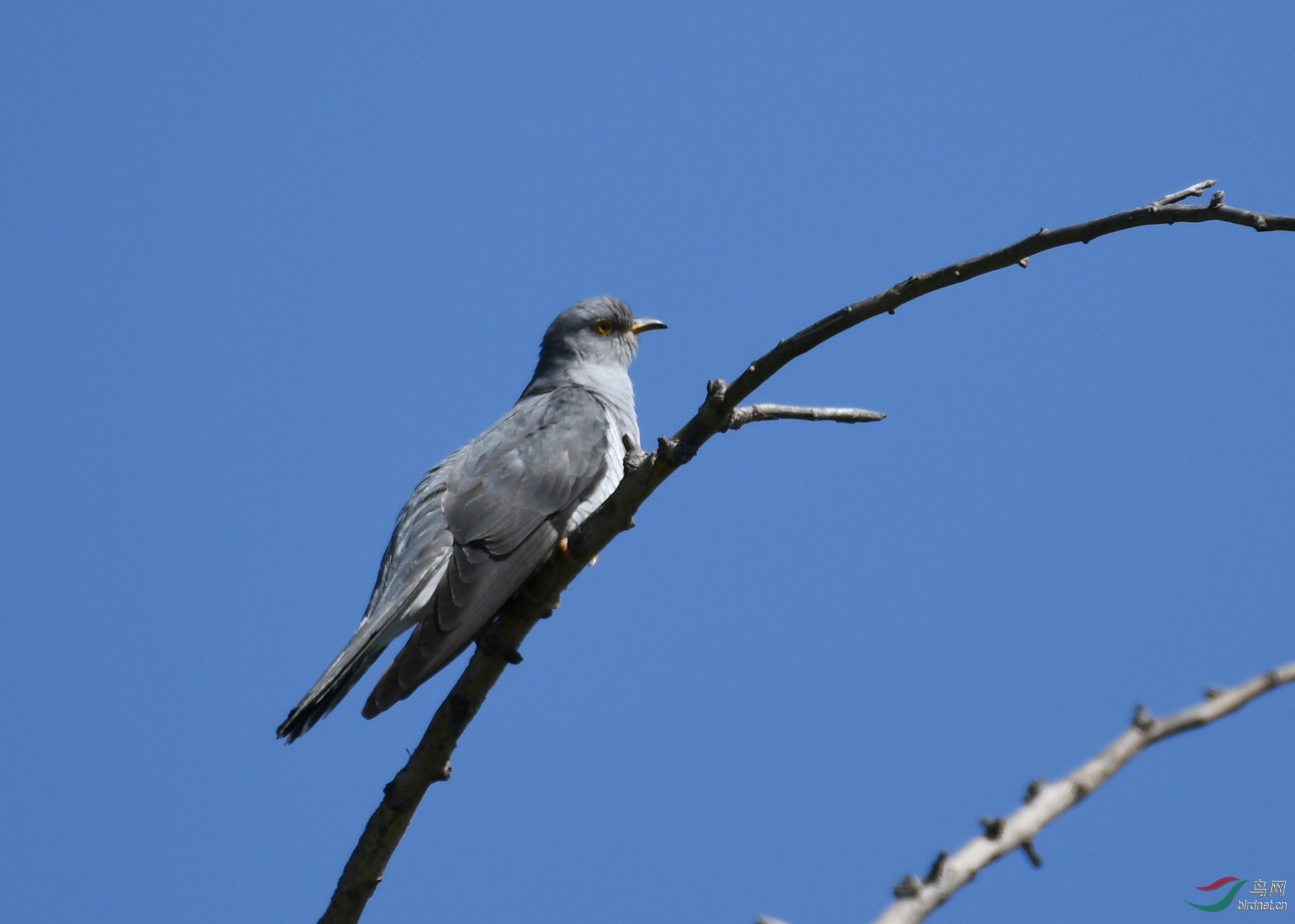 ������Ӱ 3712����.jpg