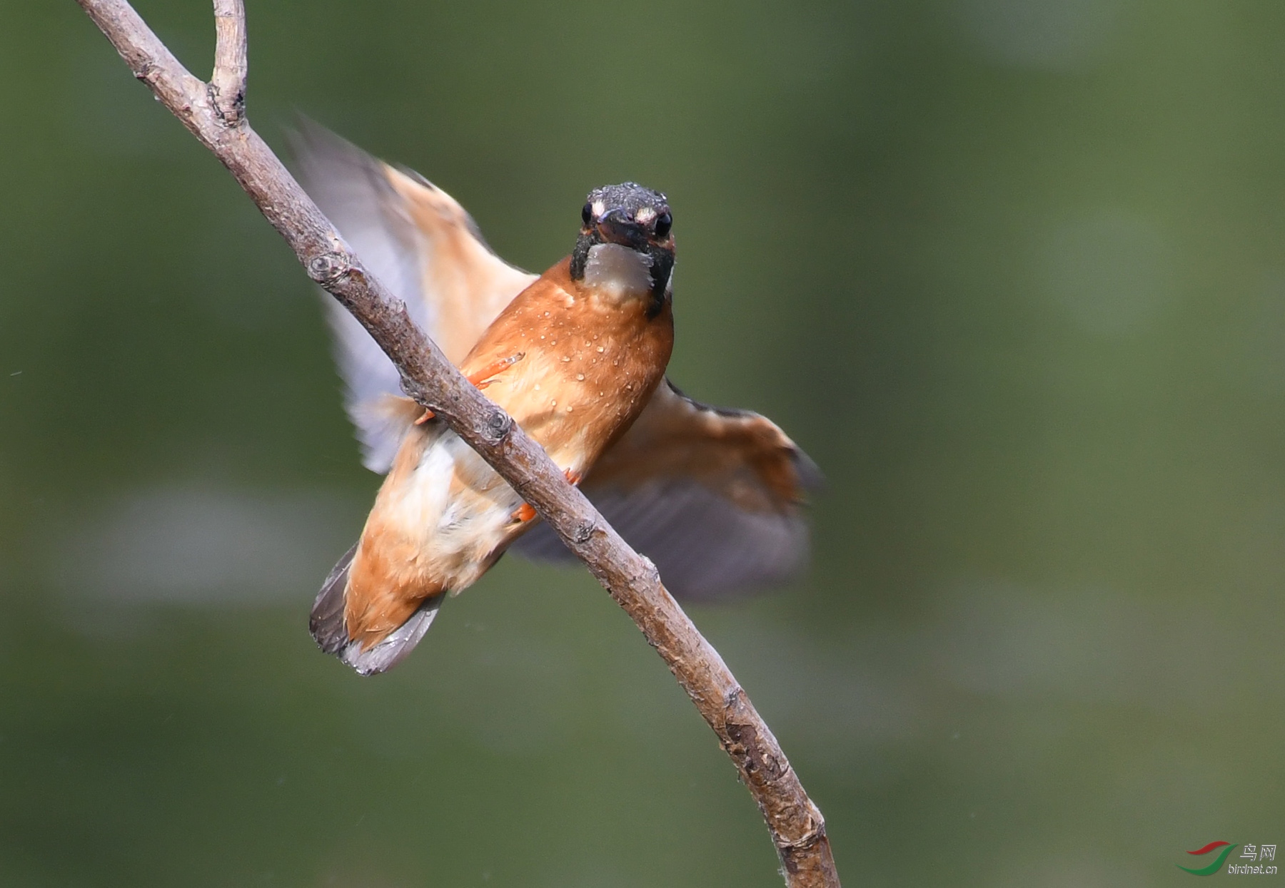 ������Ӱ 5953����.jpg