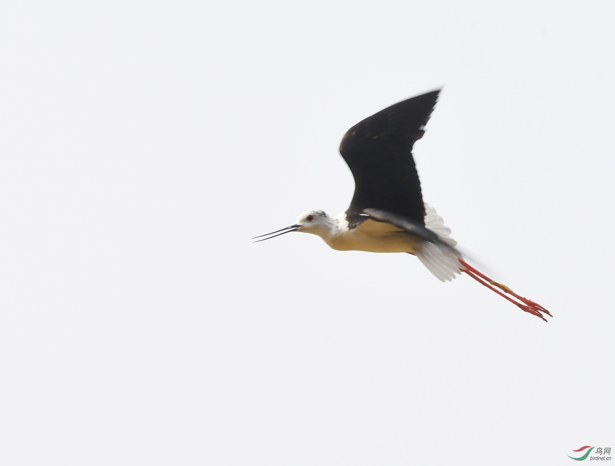 ������Ӱ 095����.jpg