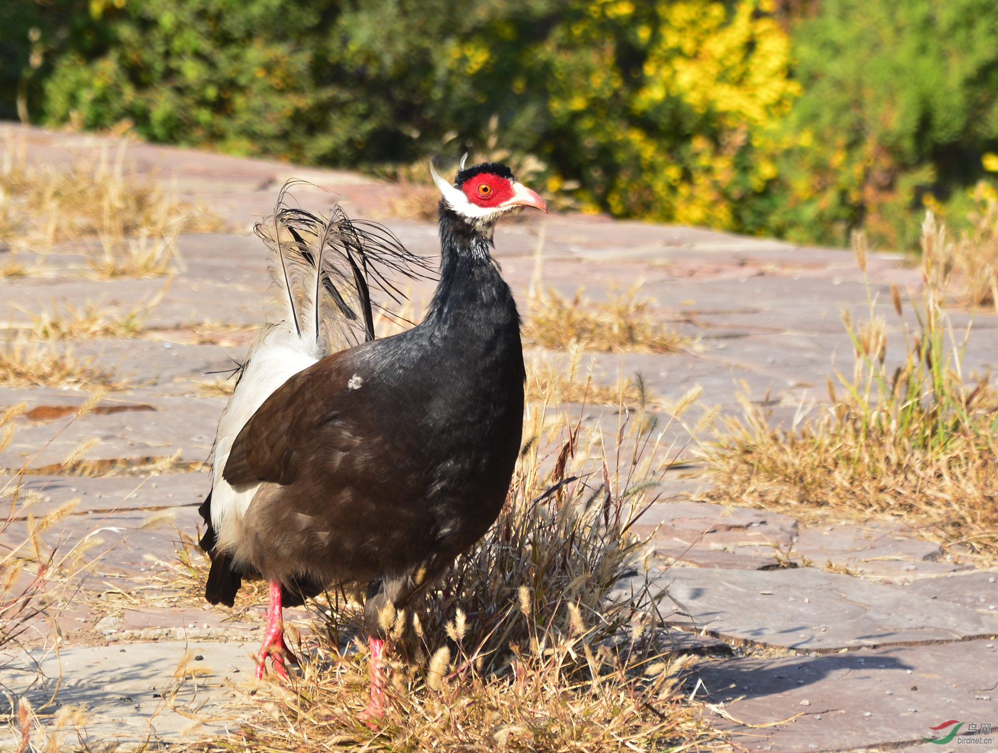 ������Ӱ 330����.jpg