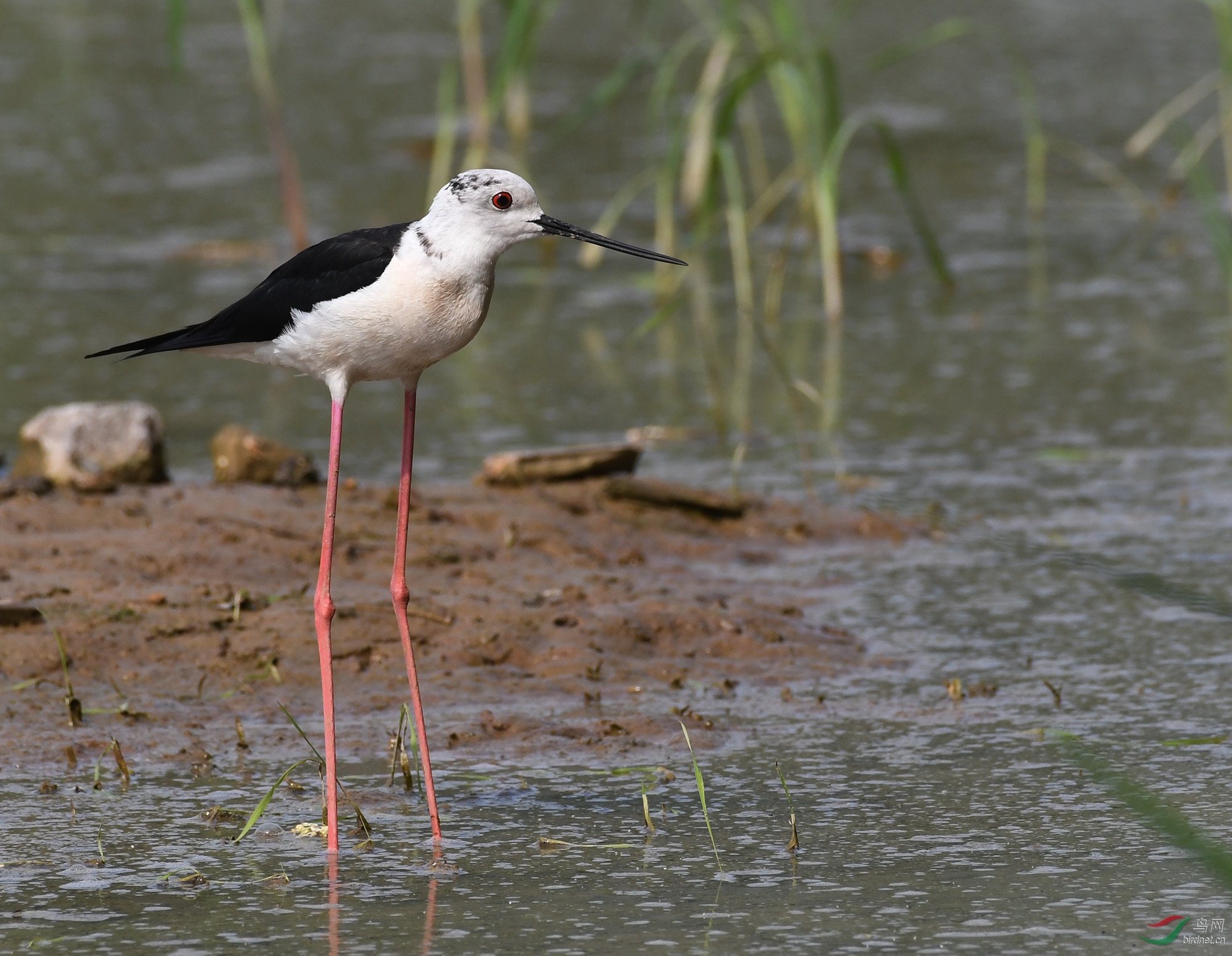 ������Ӱ 333����.jpg