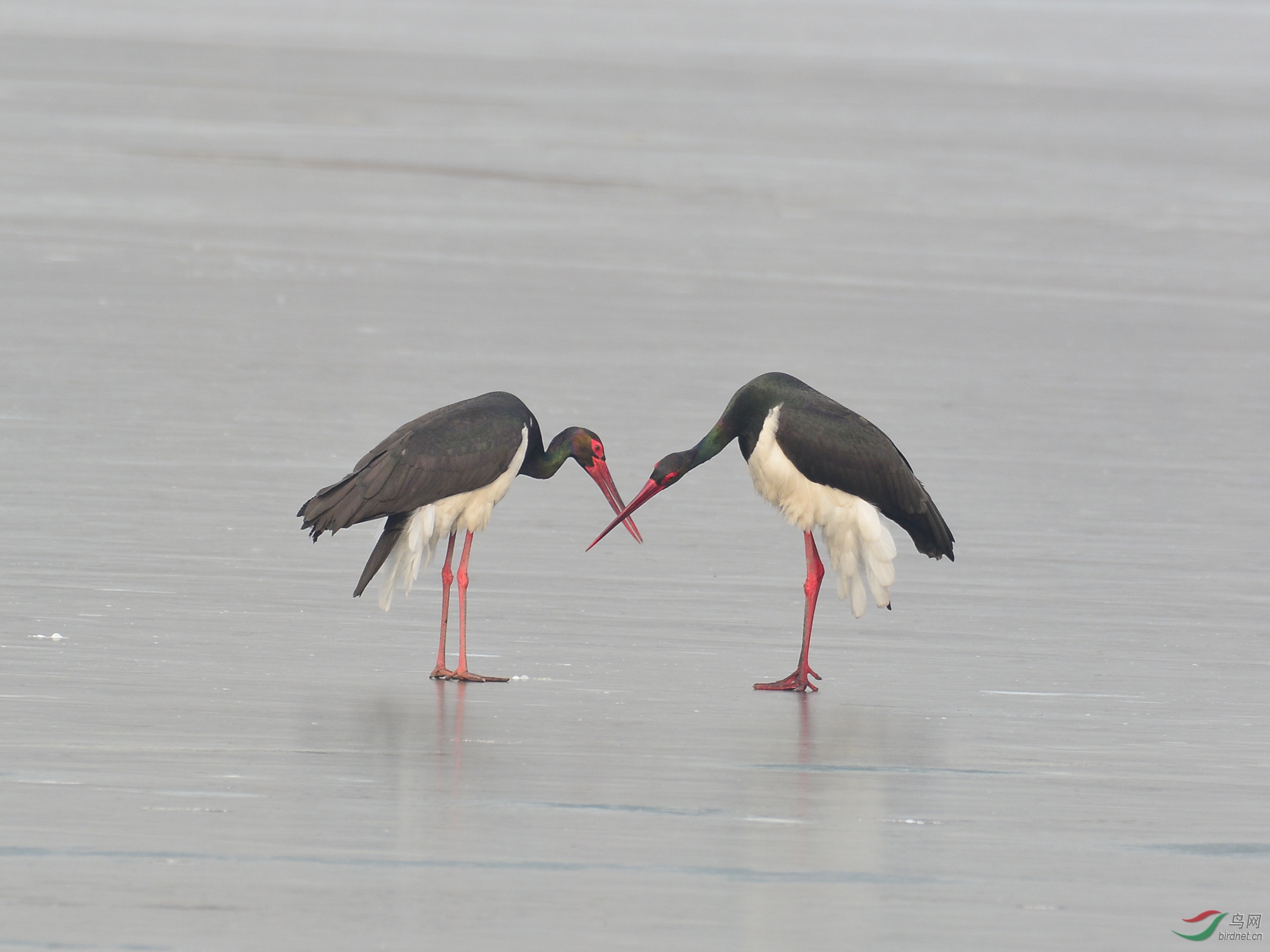 ������Ӱ 357����.jpg