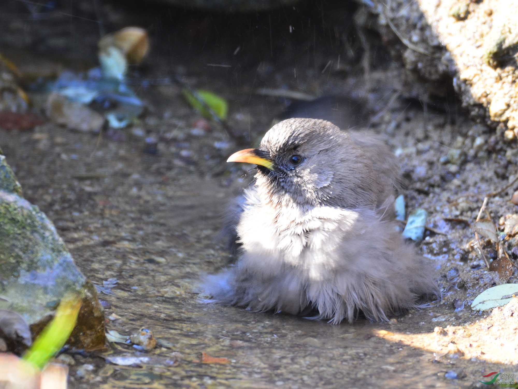 ������Ӱ 1307����.jpg