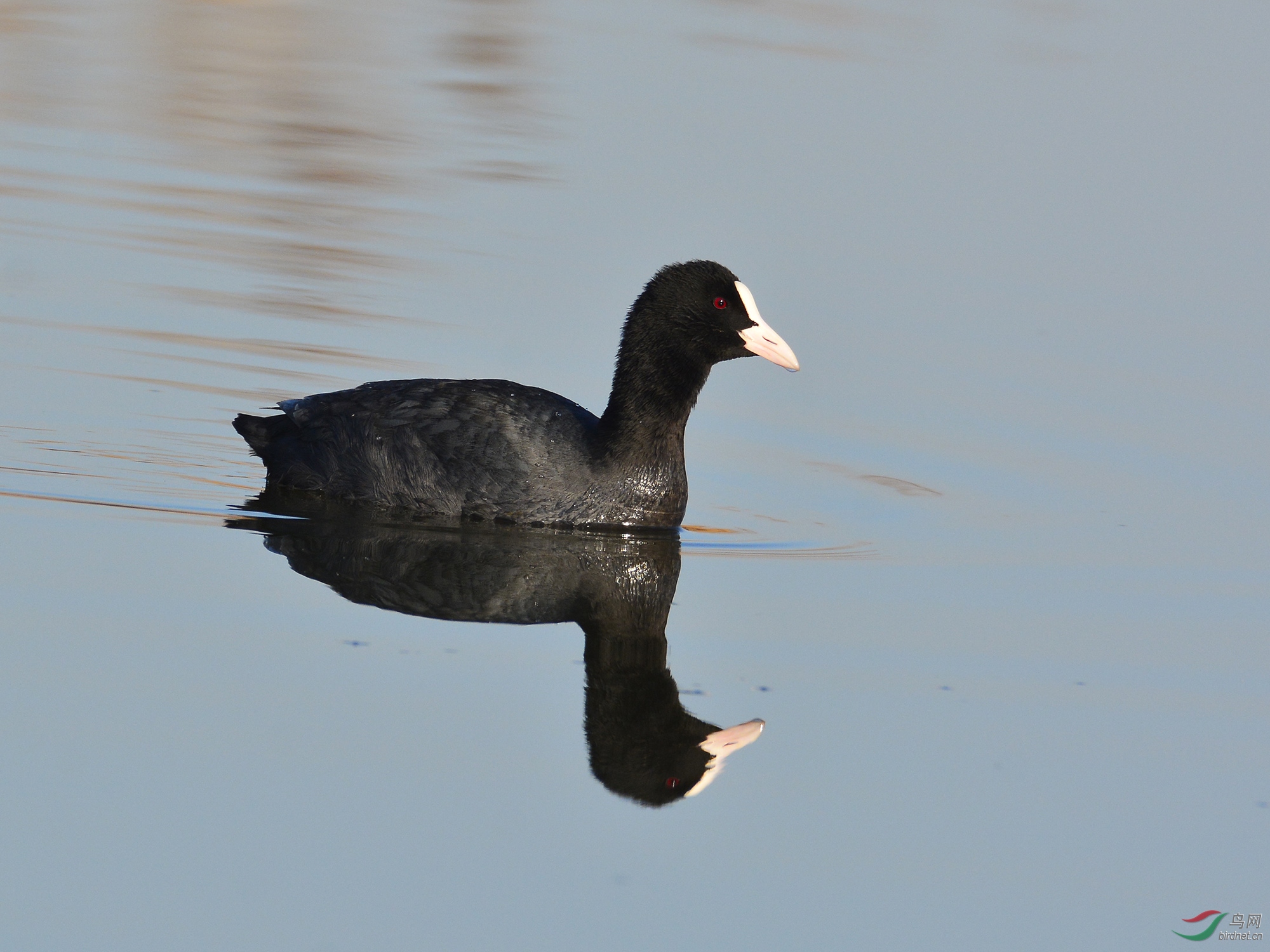 ������Ӱ 138����.jpg