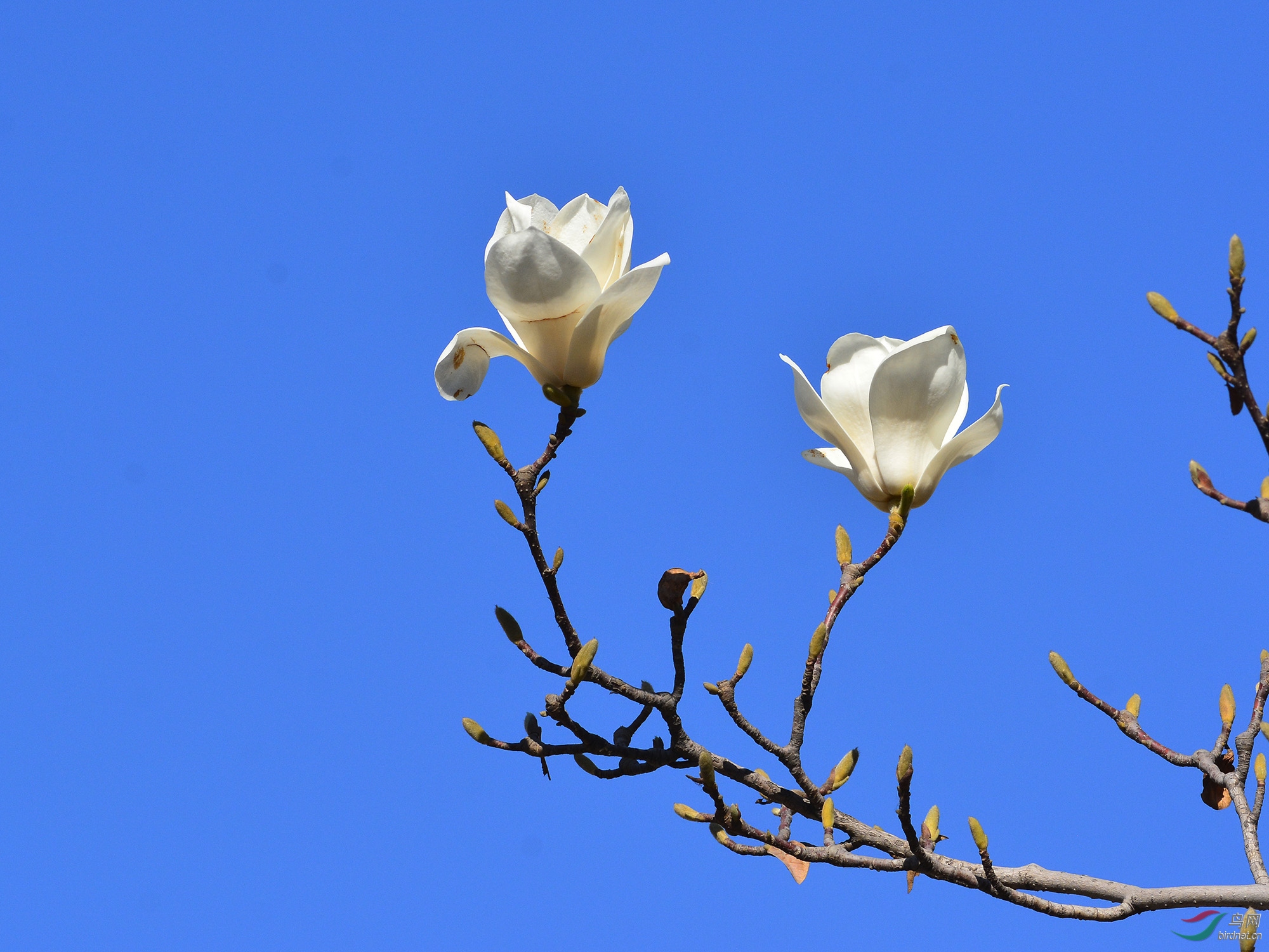 ������Ӱ 167����.jpg