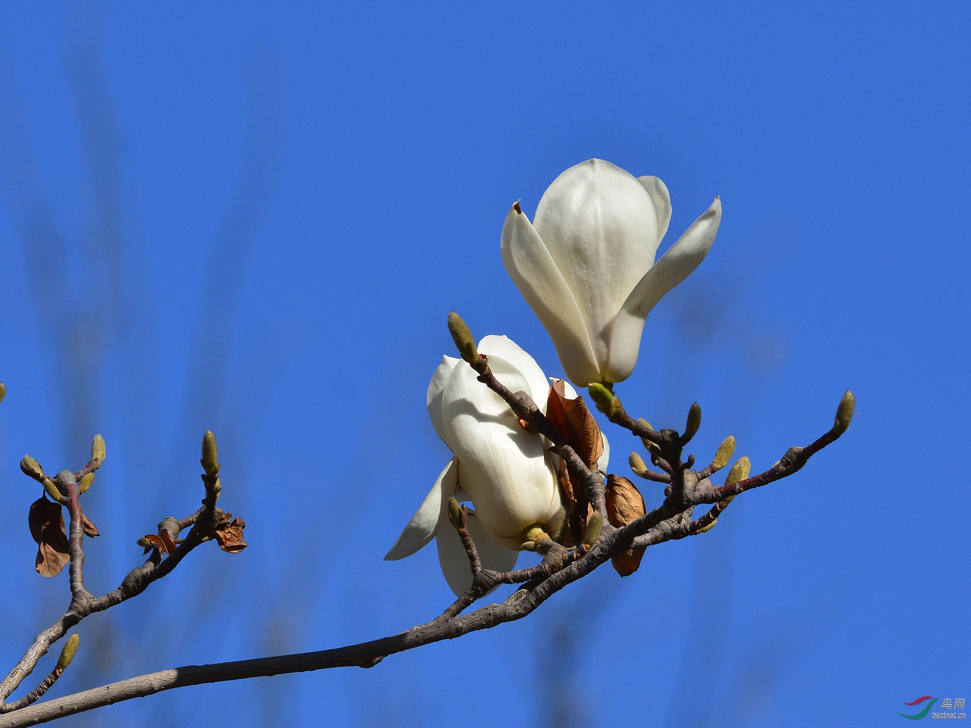 ������Ӱ 182����.jpg