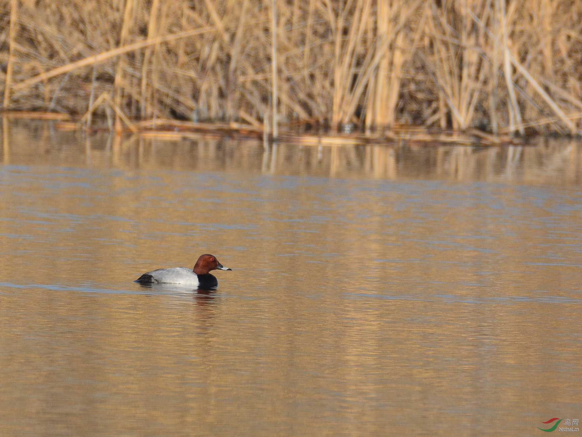 ������Ӱ 317����.jpg