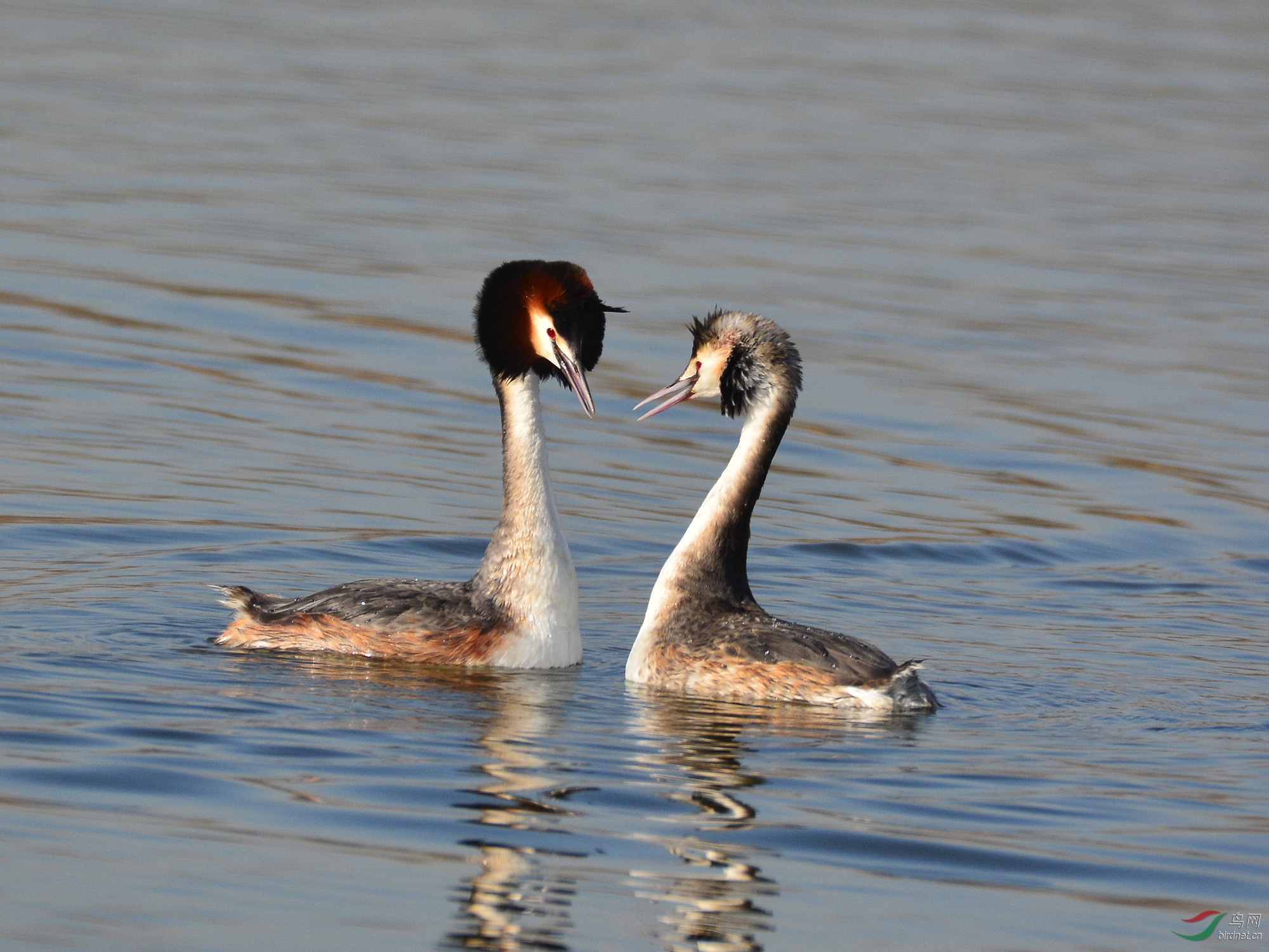 ������Ӱ 503����.jpg