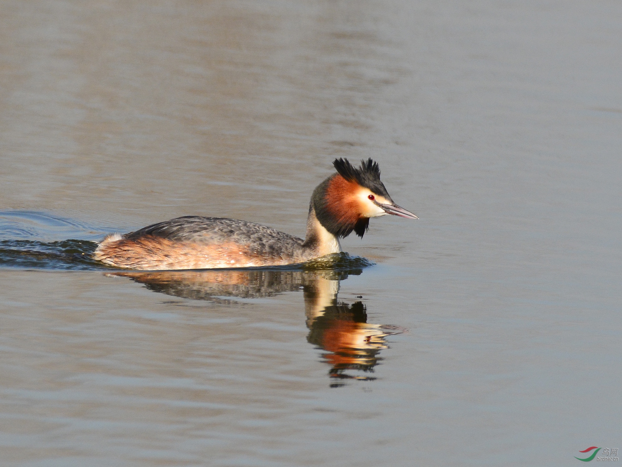 ������Ӱ 607����.jpg