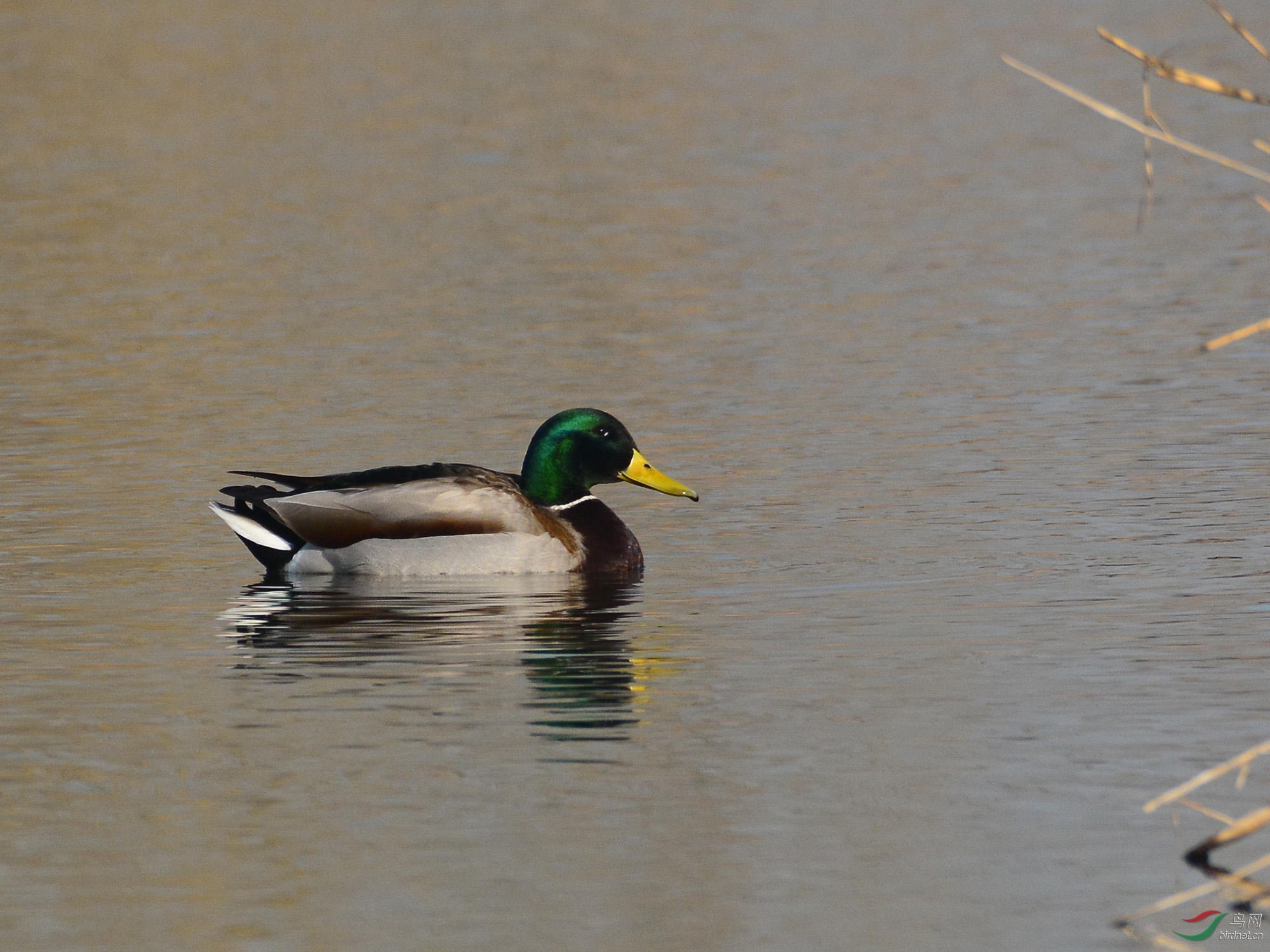 ������Ӱ 314����.jpg