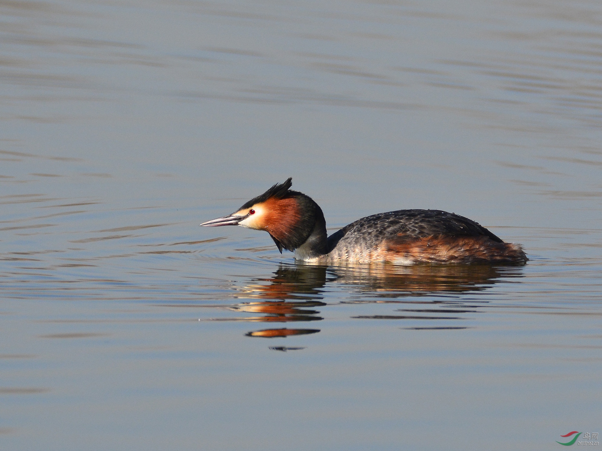 ������Ӱ 770����.jpg