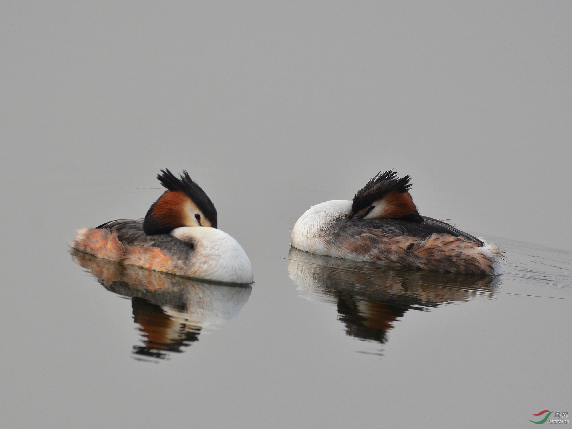 ������Ӱ 1289����.jpg