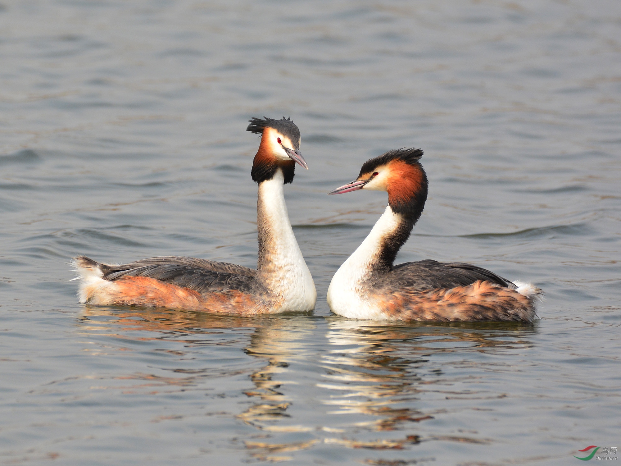 ������Ӱ 2184����.jpg