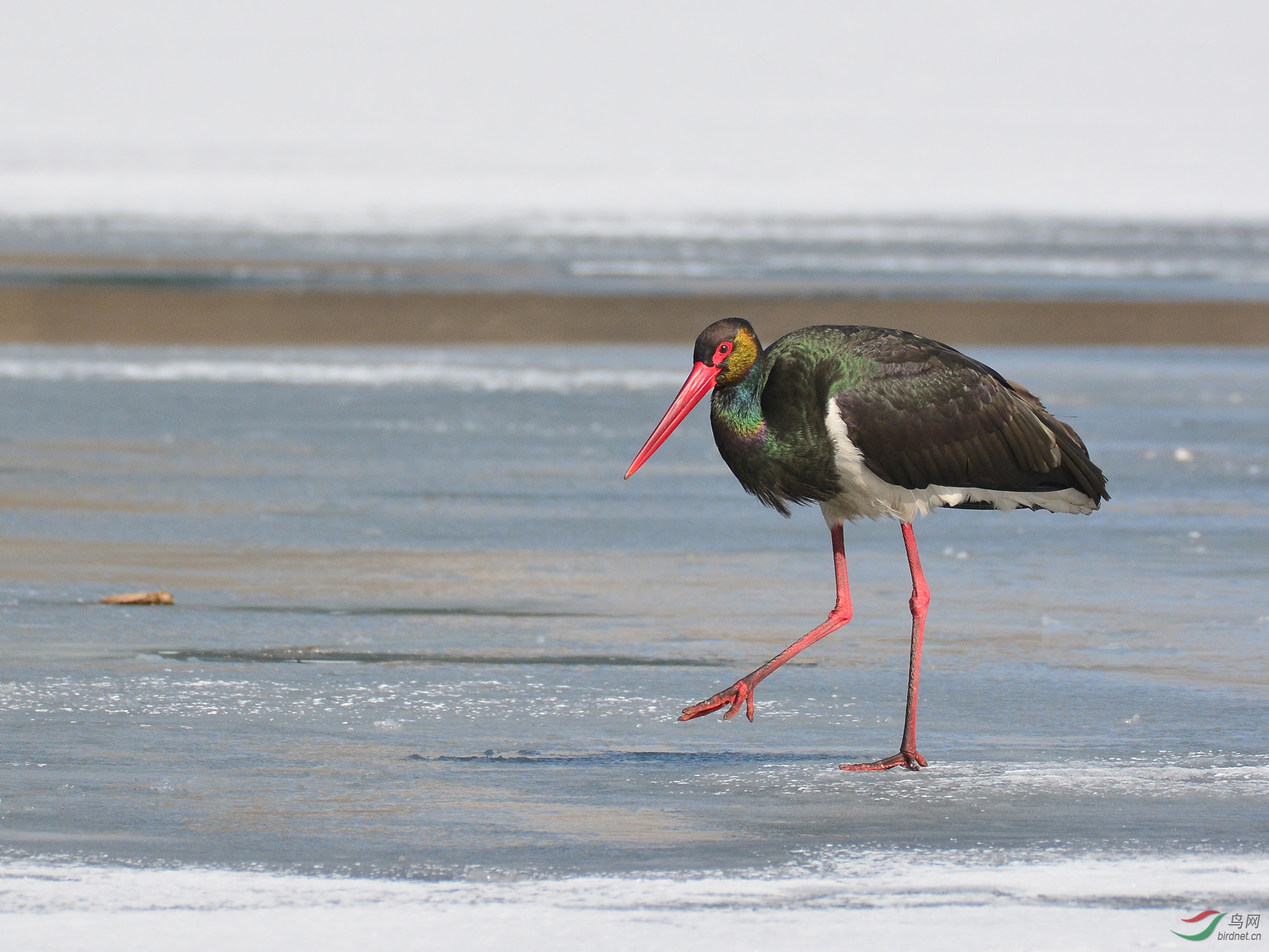 ������Ӱ 2281����.jpg