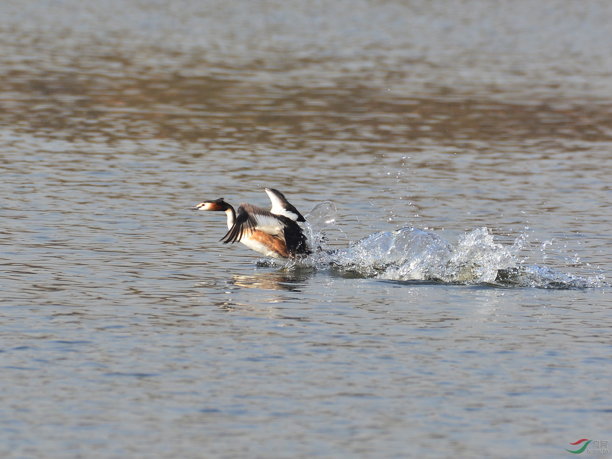 ������Ӱ 2925����.jpg