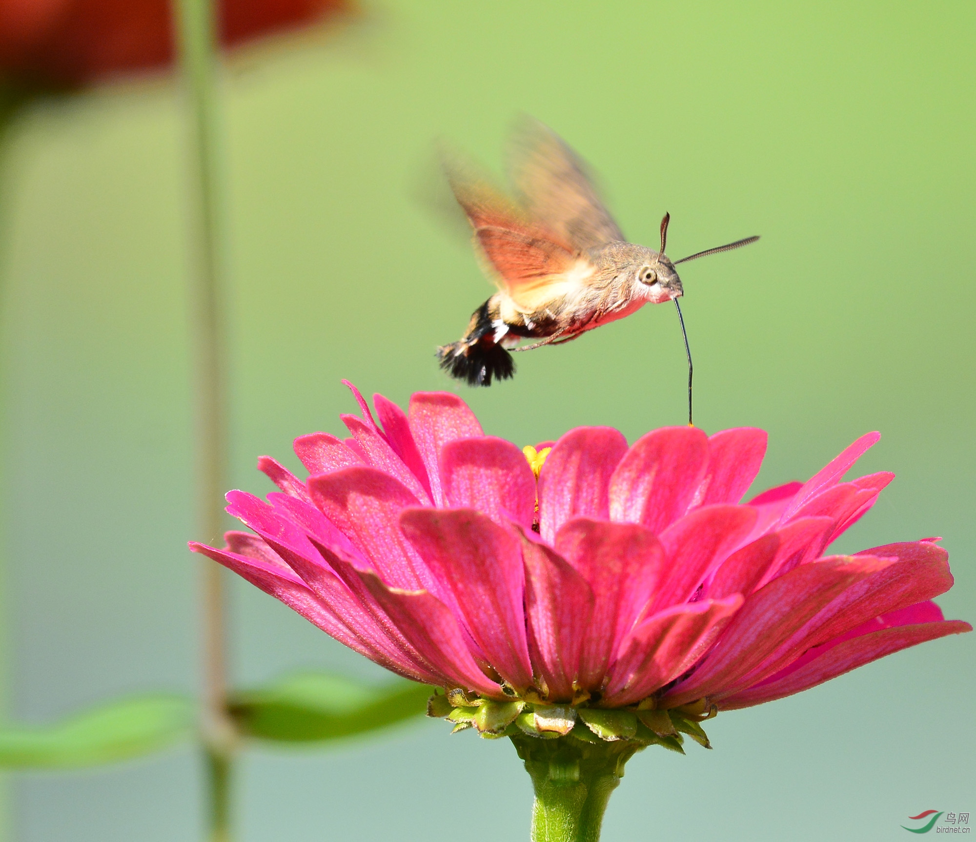 ������Ӱ 093����.jpg