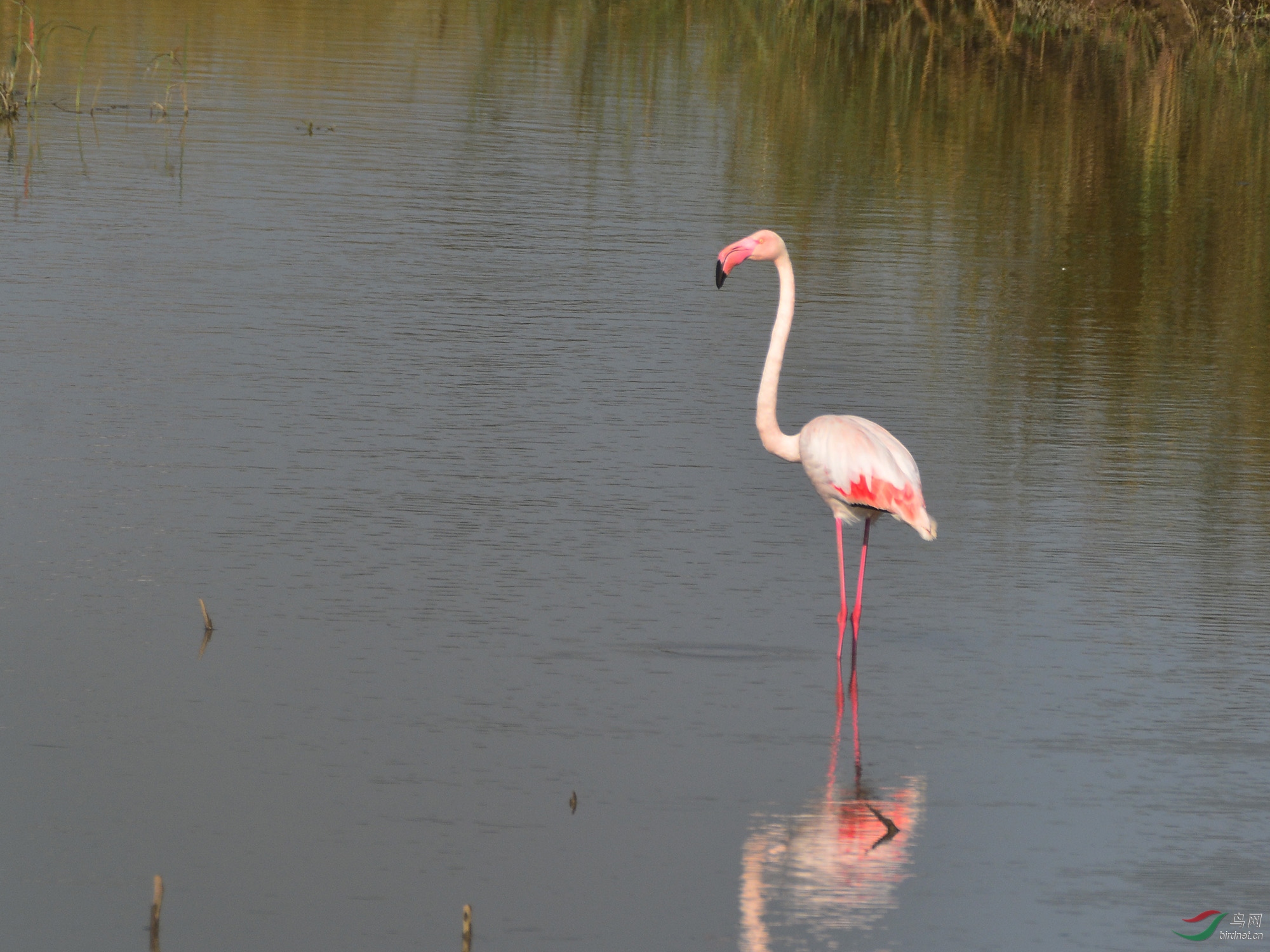 ������Ӱ 587����.jpg