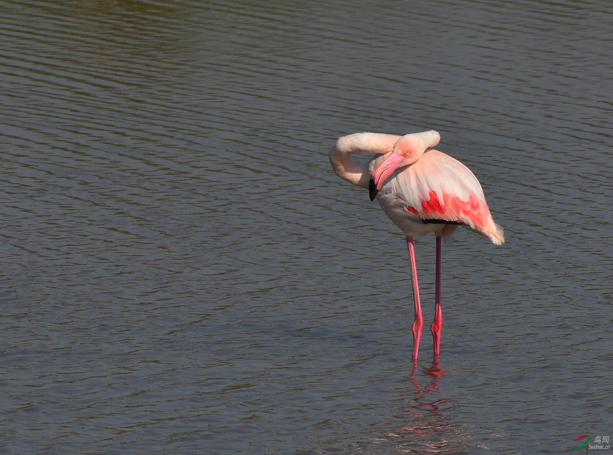 ������Ӱ 641����.jpg