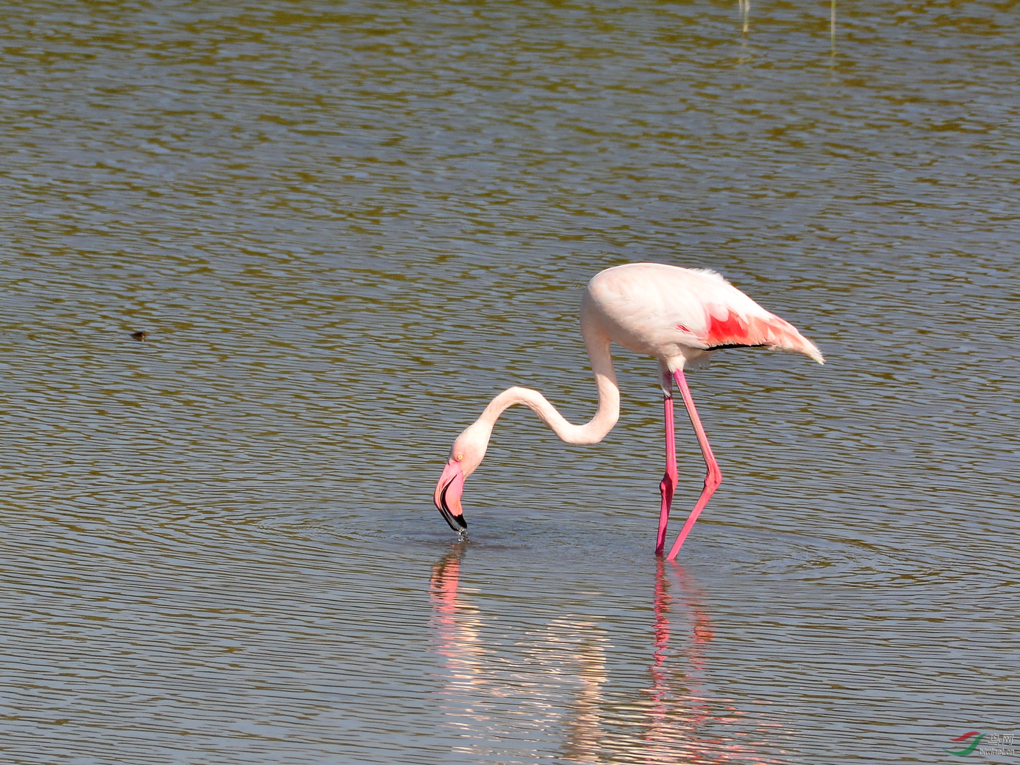 ������Ӱ 1004����.jpg