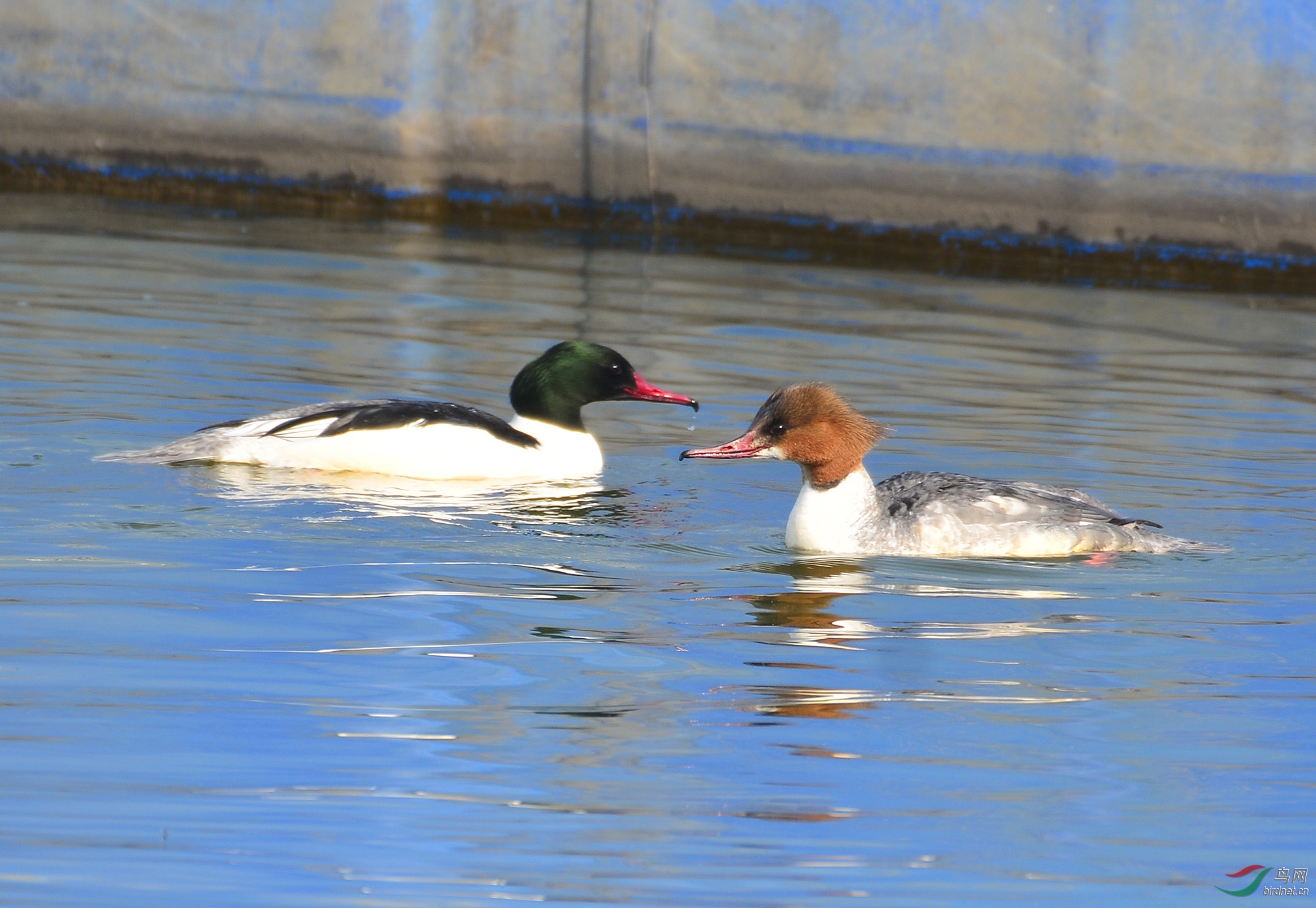 ������Ӱ 1773����.jpg