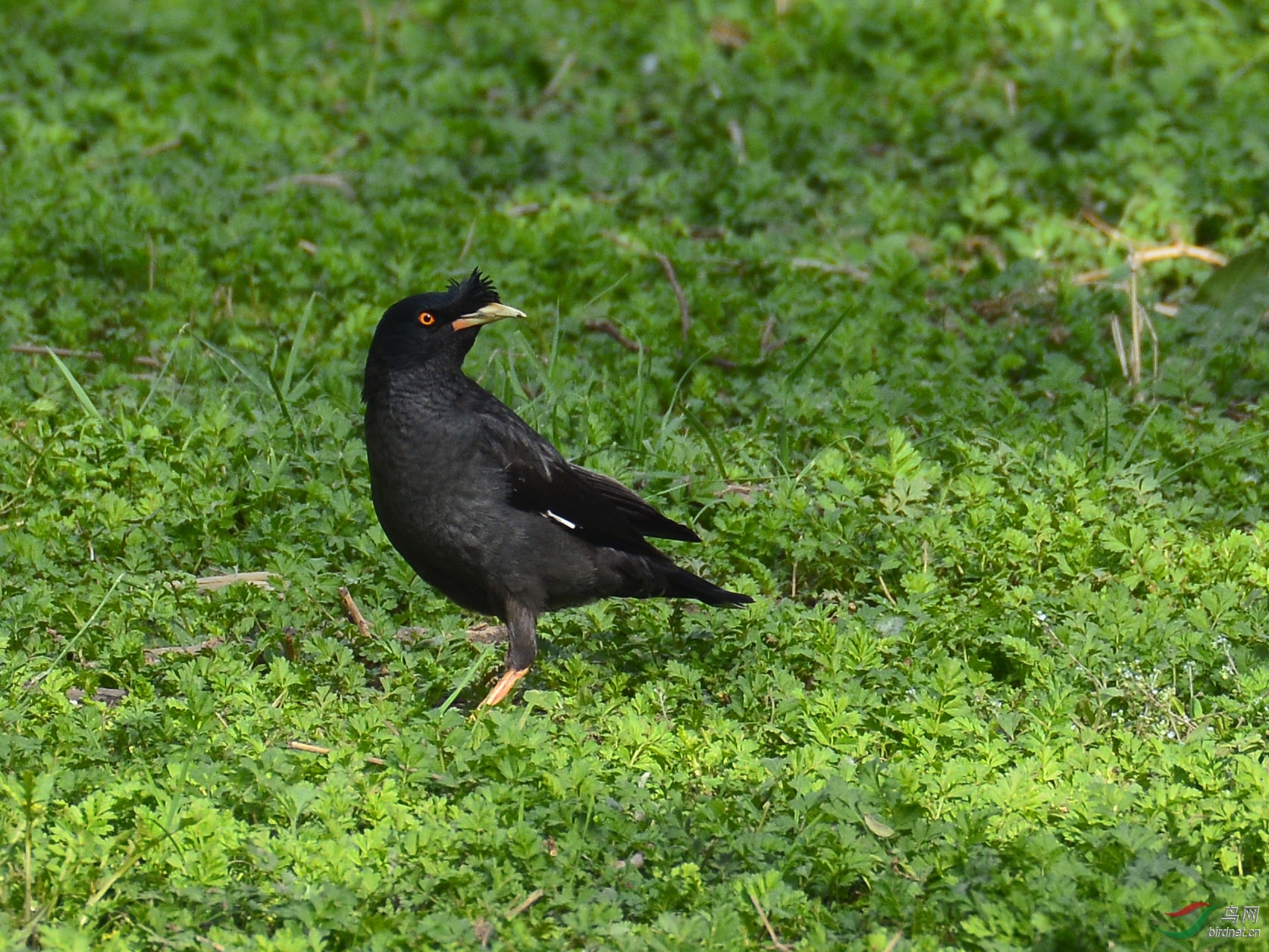 ������Ӱ 045����.jpg