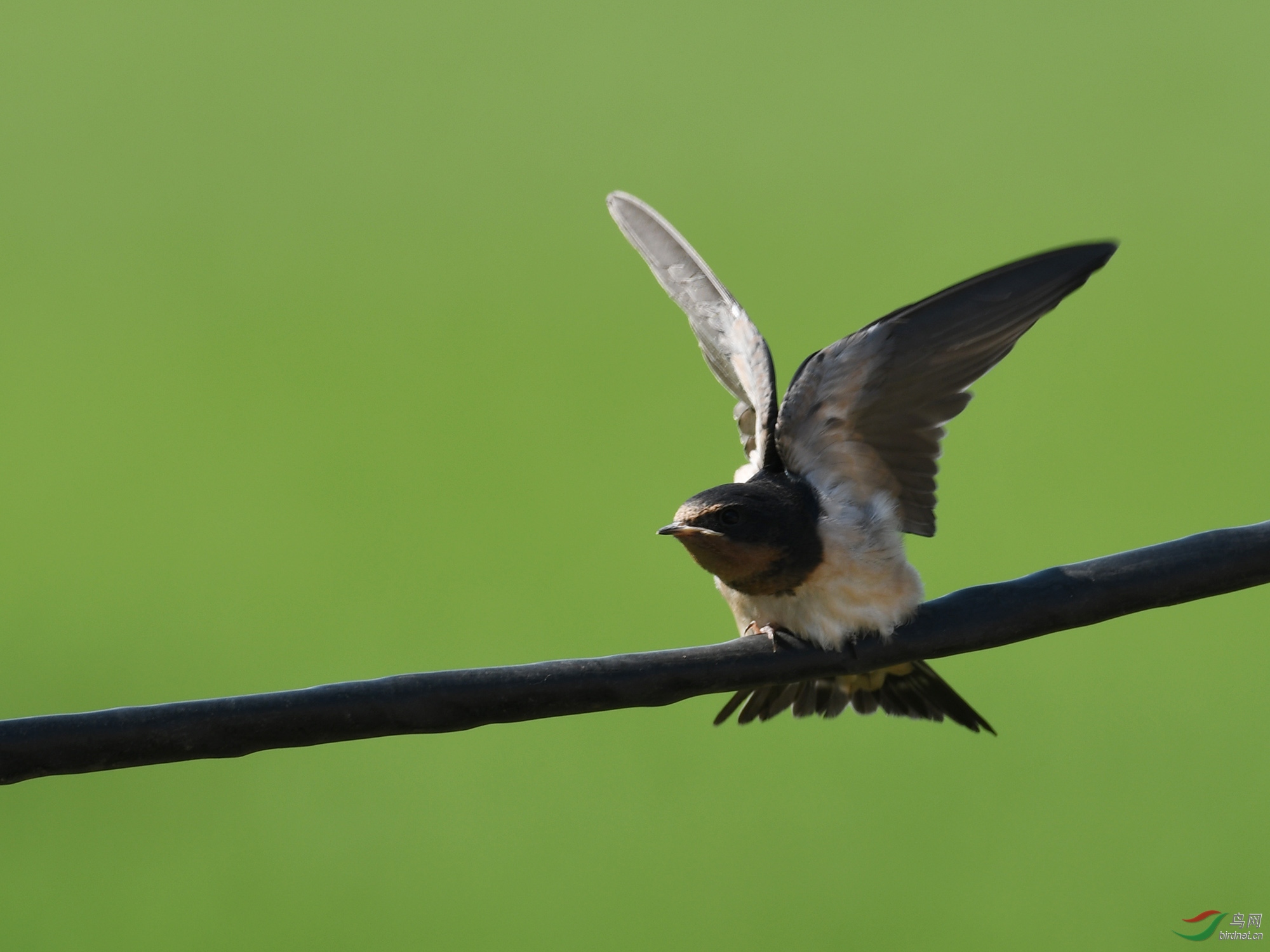 ������Ӱ 602����.jpg