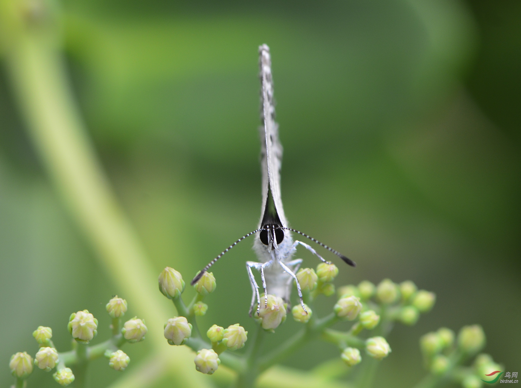 ������Ӱ 1282����.jpg