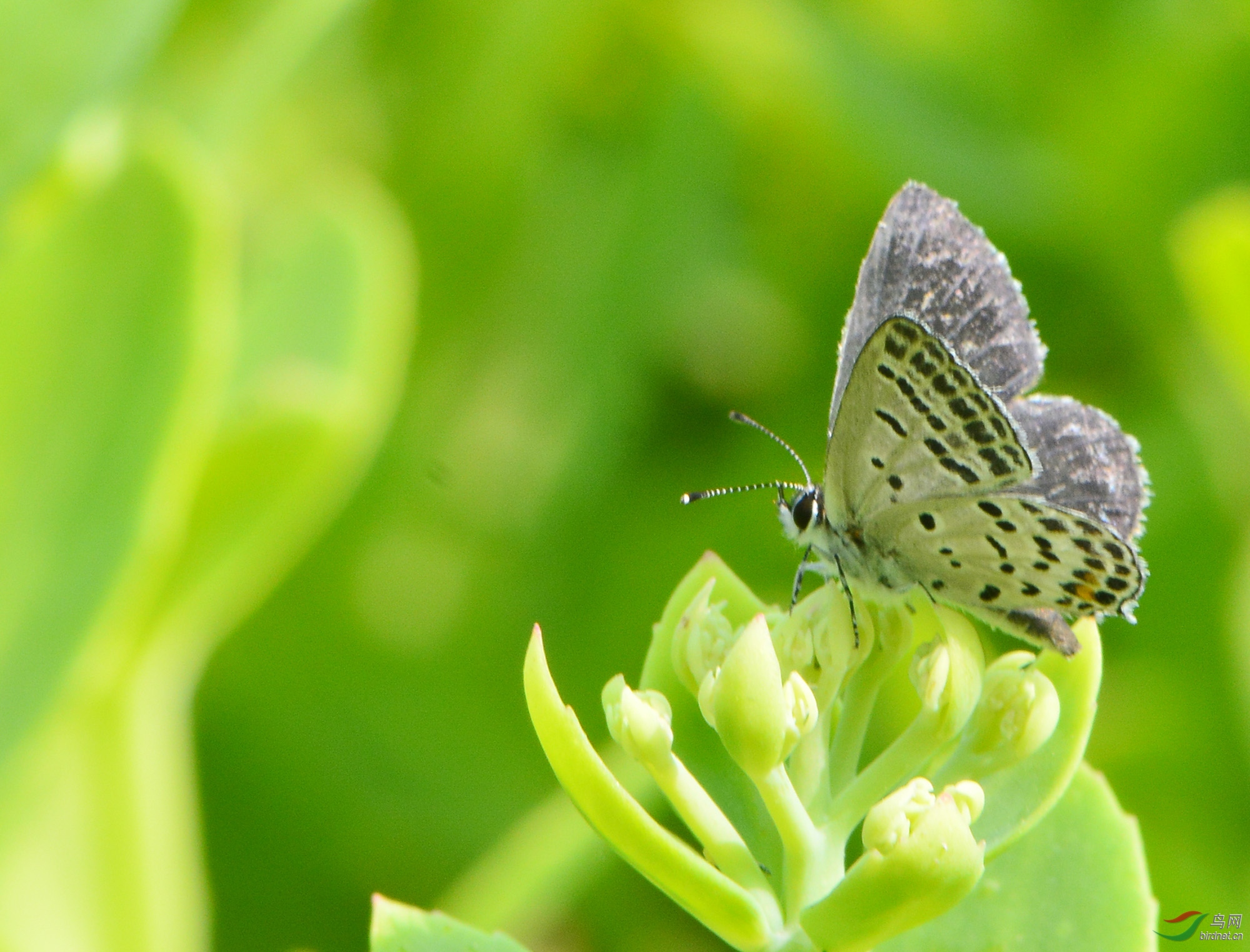 ������Ӱ 920����.jpg