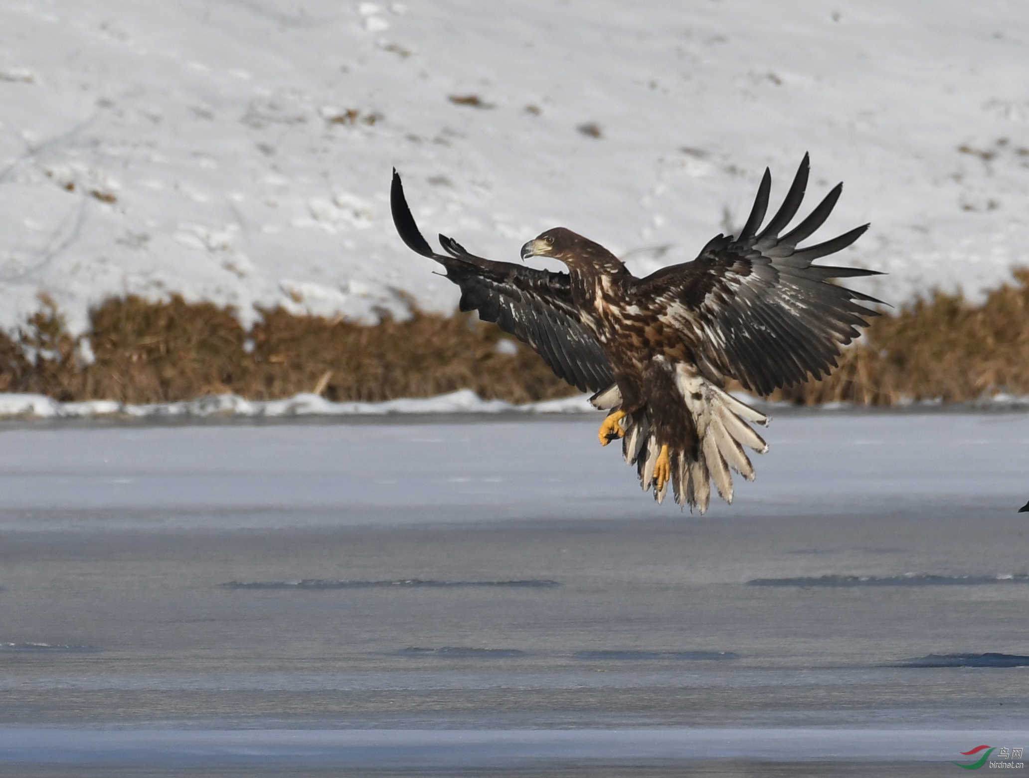 ������Ӱ 112����.jpg