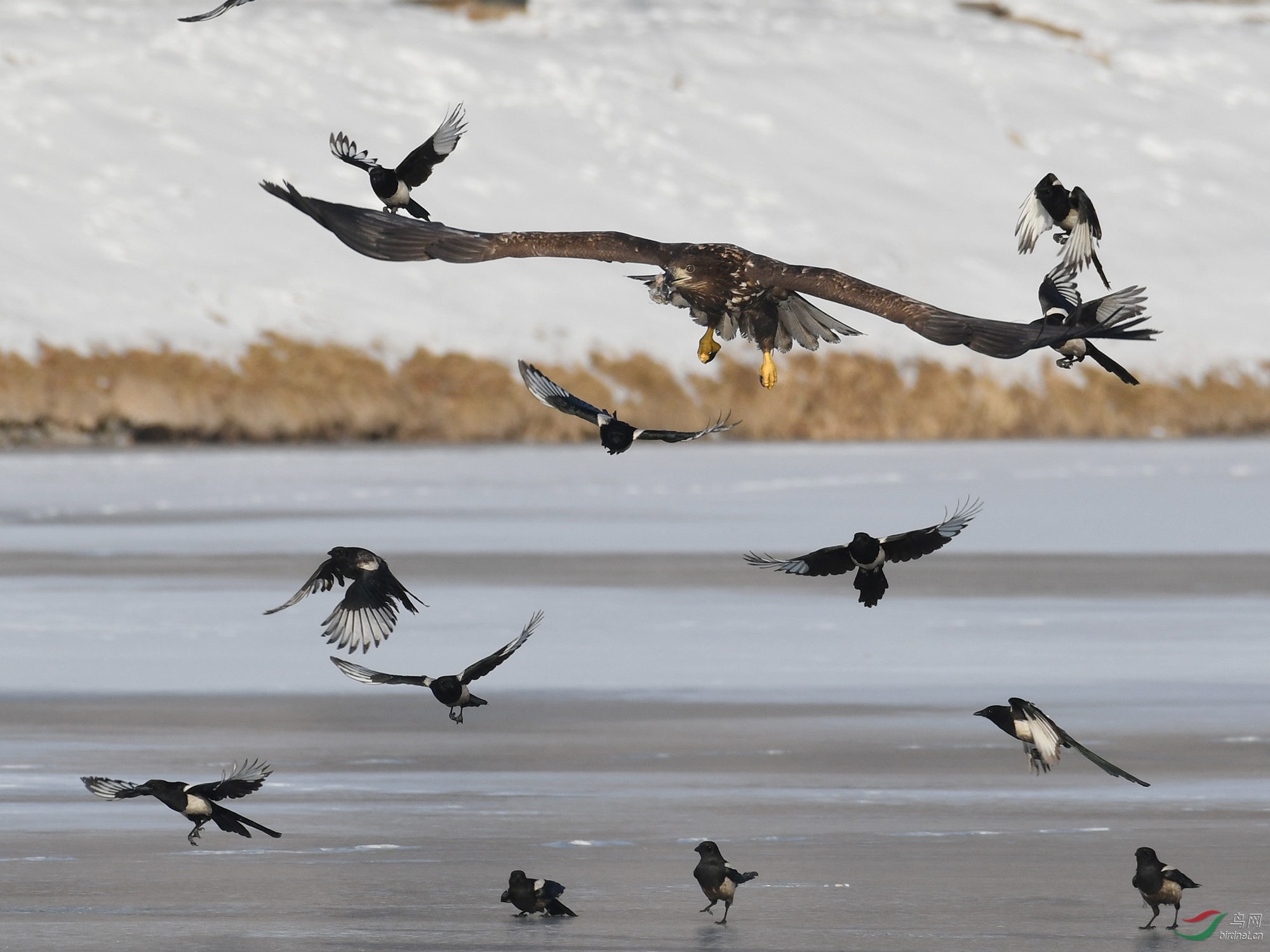 ������Ӱ 326����.jpg